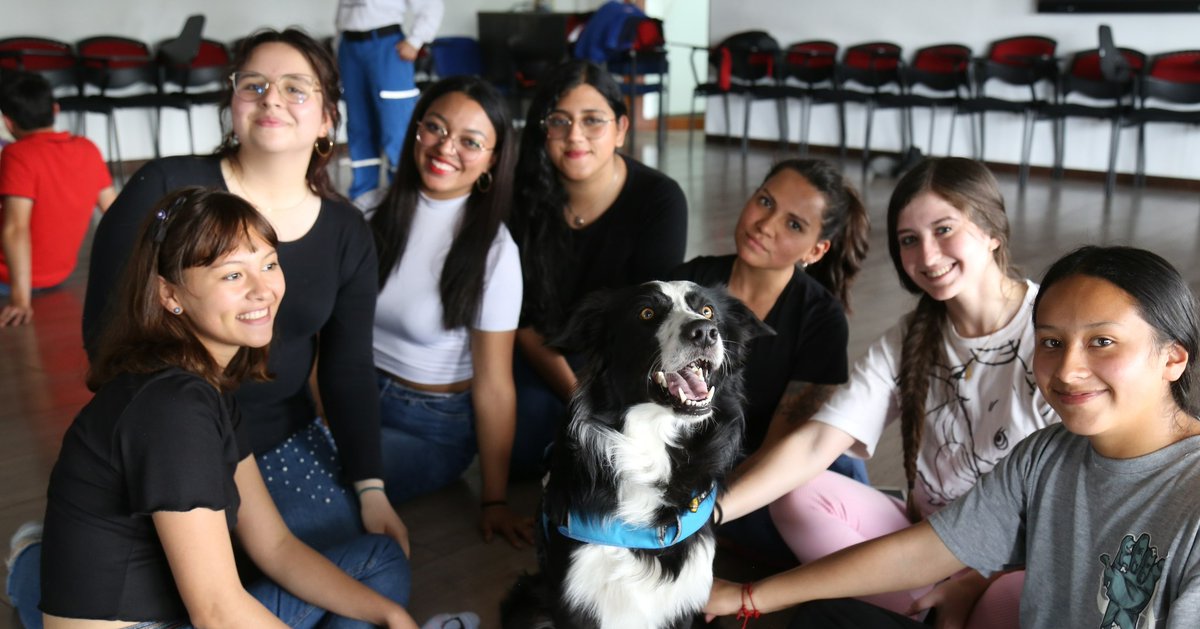UniCorpas's tweet image. Hoy realizamos Yoga con estos perritos hermosos de terapia que hacen parte de @cruzrojabogota. Gracias por brindarle a los estudiantes de la Corpas esta experiencia de sensibilización, relajación y aprendizaje.
#UniCorpas #Yoga #Yogaconperros #Cruzroja #Perros #Caninos
