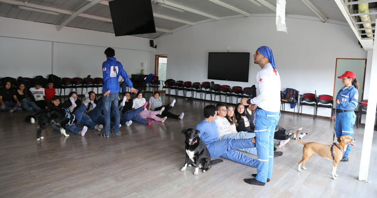 UniCorpas's tweet image. Hoy realizamos Yoga con estos perritos hermosos de terapia que hacen parte de @cruzrojabogota. Gracias por brindarle a los estudiantes de la Corpas esta experiencia de sensibilización, relajación y aprendizaje.
#UniCorpas #Yoga #Yogaconperros #Cruzroja #Perros #Caninos