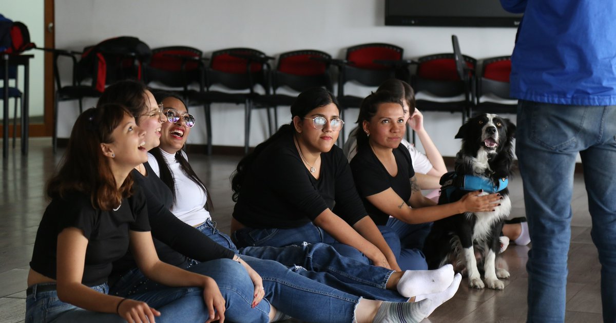 UniCorpas's tweet image. Hoy realizamos Yoga con estos perritos hermosos de terapia que hacen parte de @cruzrojabogota. Gracias por brindarle a los estudiantes de la Corpas esta experiencia de sensibilización, relajación y aprendizaje.
#UniCorpas #Yoga #Yogaconperros #Cruzroja #Perros #Caninos