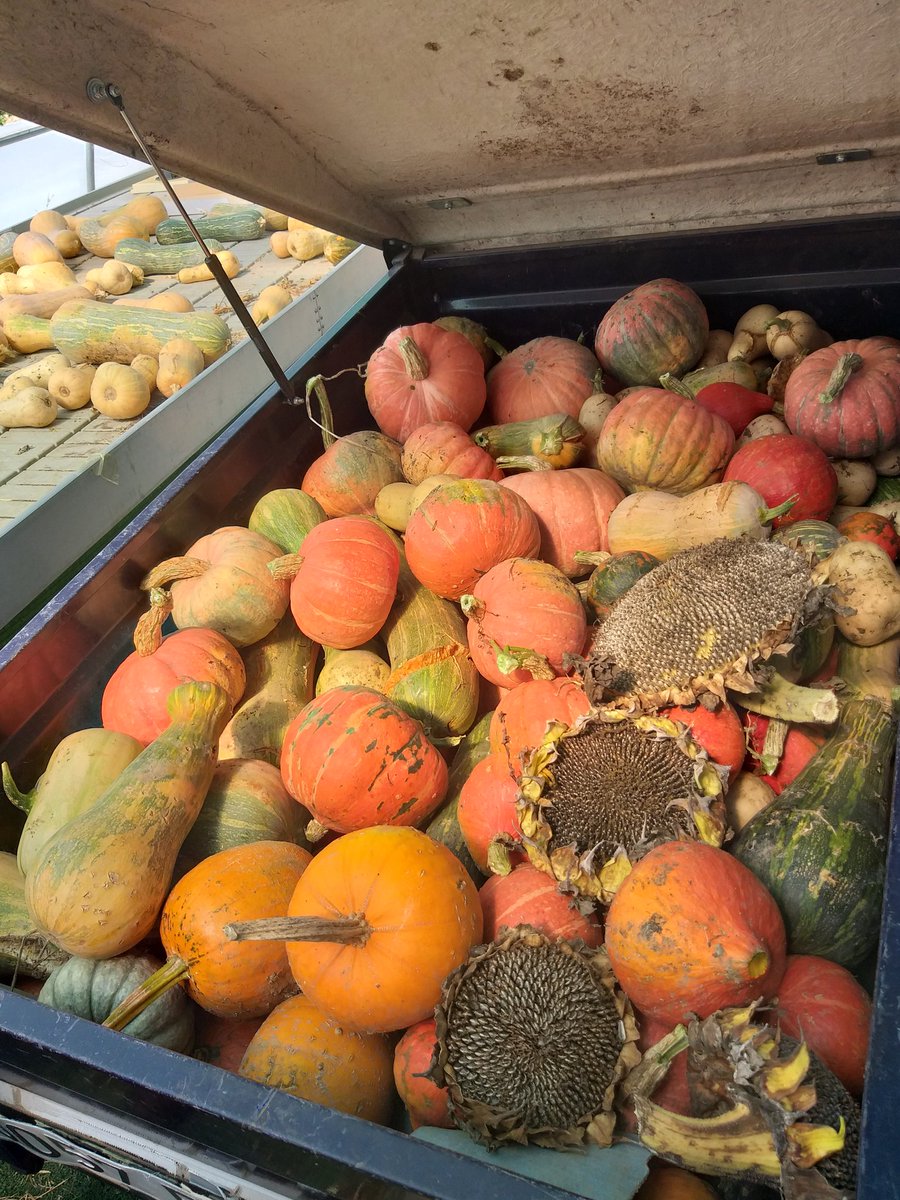 Ya quisiera Cenicienta este carro!