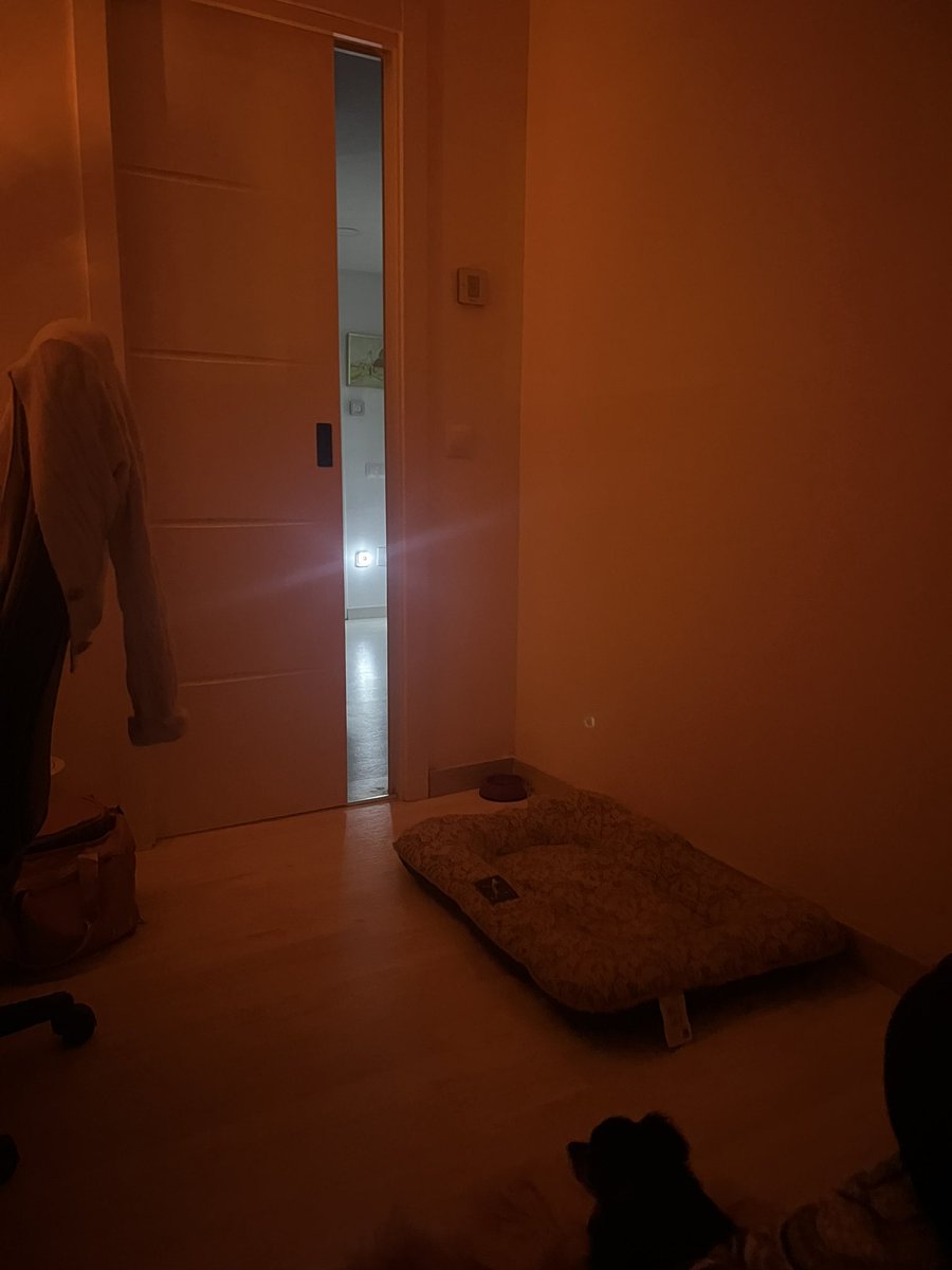 cubasaraa's tweet photo. odio dormir con la puerta abierta, pero odio aún más dormir sabiendo que mi perro está en la entrada tumbado viendo la puerta por si alguien llega, así que como desde mi cuarto con la puerta abierta lo puede ver acá estamos… https://t.co/IR4bSf3IsX