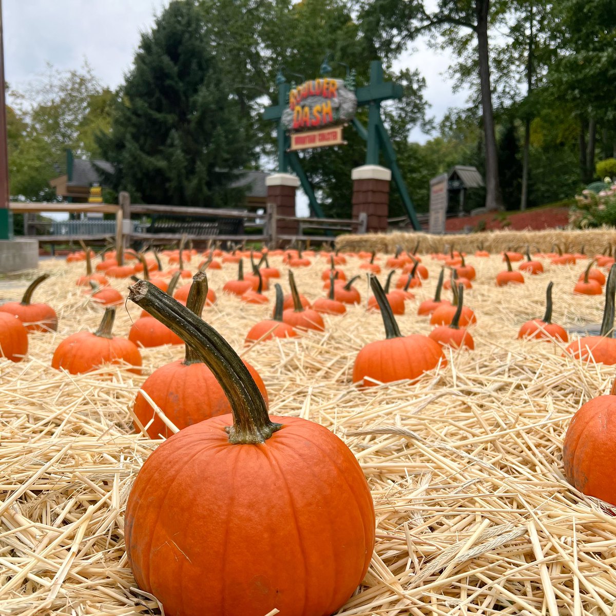 We’ve added another day to fright all night! 👻Phantom Fall Fest will now begin this Friday 🕷

After mother nature’s tricks last weekend, we’ve been brewing up some of our own. 🧙‍♀️ Join us or more scares, more thrills, more fun, and now more hours! 🥳
