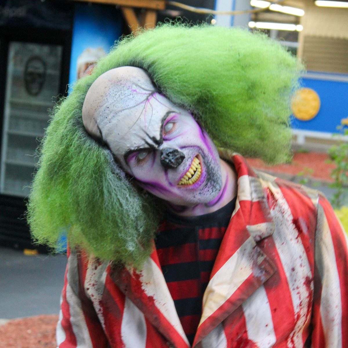 Lake Compounce tweet media