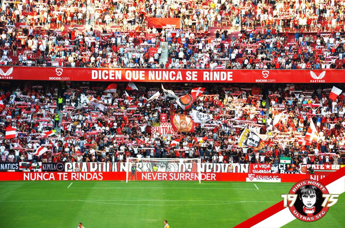 birisoficial tweet picture