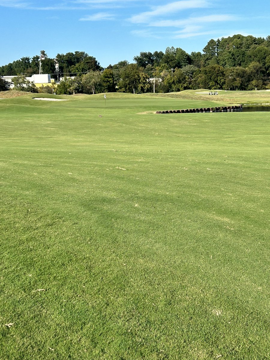 Mike Driver tweet media