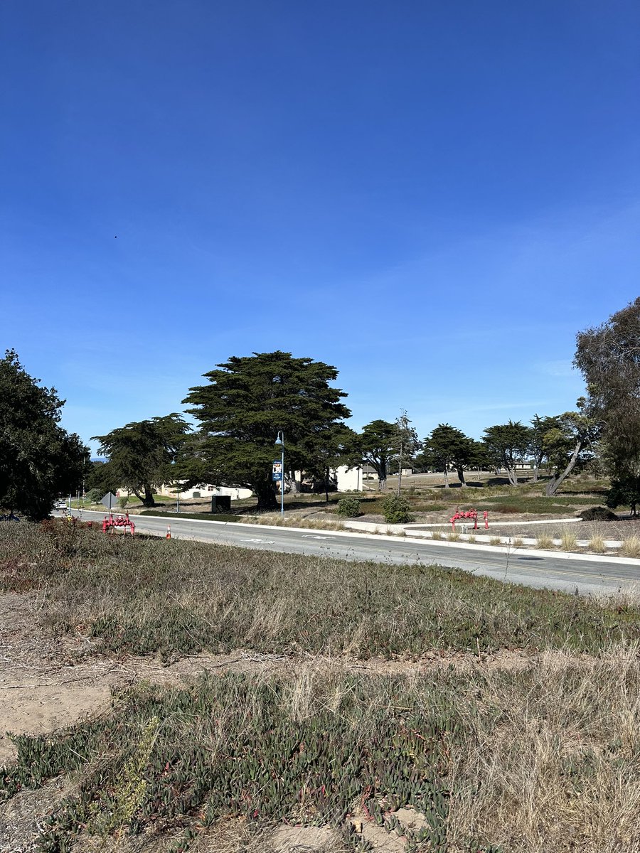 CSUMB, Department of Marine Science tweet media