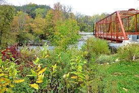 ‼️Friends in Ann Arbor‼️ MDOT is angling to construct a fence along Huron River Drive. For those of you who bike or drive this beautiful stretch of road, and want to maintain said beauty, please consider signing the petition to STOP THE FENCE! chng.it/gtvfWSLY