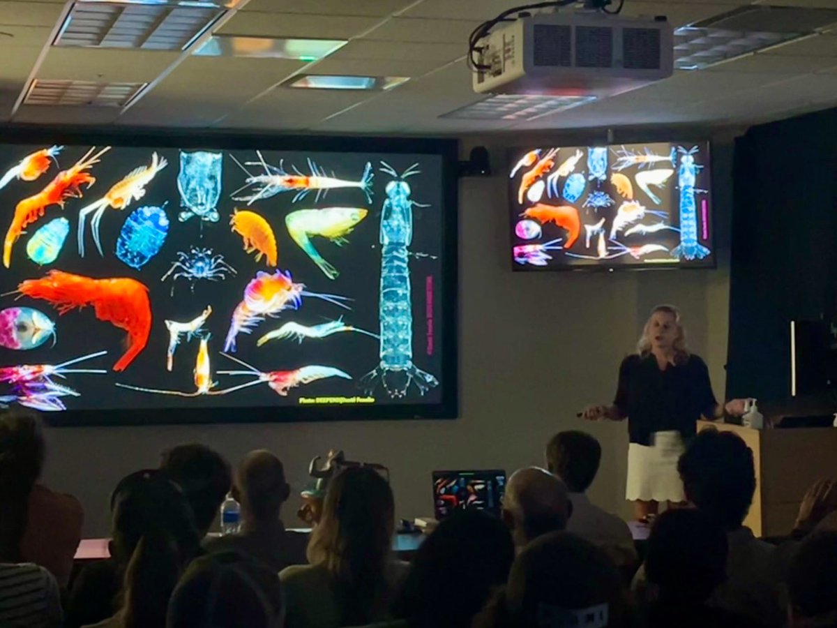 Heather Bracken-Grissom (@brackengrissom) on Twitter photo Full Professor seminar at FIU filled me with so much ❤️ and gratitude. Thanks to the best lab in the world, CRUSTOMICS and everyone that came to support me in this journey. It's been an amazing 11 years. <a href="/FIUEnvironment/">FIU Institute of Environment</a> <a href="/FIUCASE/">FIU College of Arts, Sciences & Education</a> <a href="/FIUMarineBio/">FIU Marine Biology</a> Full Professor seminar at FIU filled me with so much ❤️ and gratitude. Thanks to the best lab in the world, CRUSTOMICS and everyone that came to support me in this journey. It's been an amazing 11 years. <a href="/FIUEnvironment/">FIU Institute of Environment</a> <a href="/FIUCASE/">FIU College of Arts, Sciences & Education</a> <a href="/FIUMarineBio/">FIU Marine Biology</a>