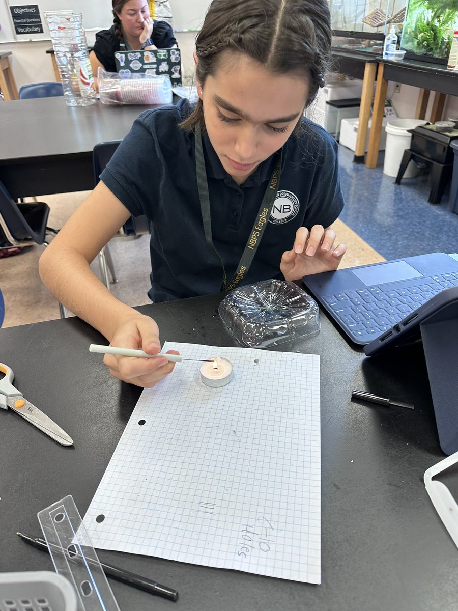 Alisha Hogg 🐬 tweet media