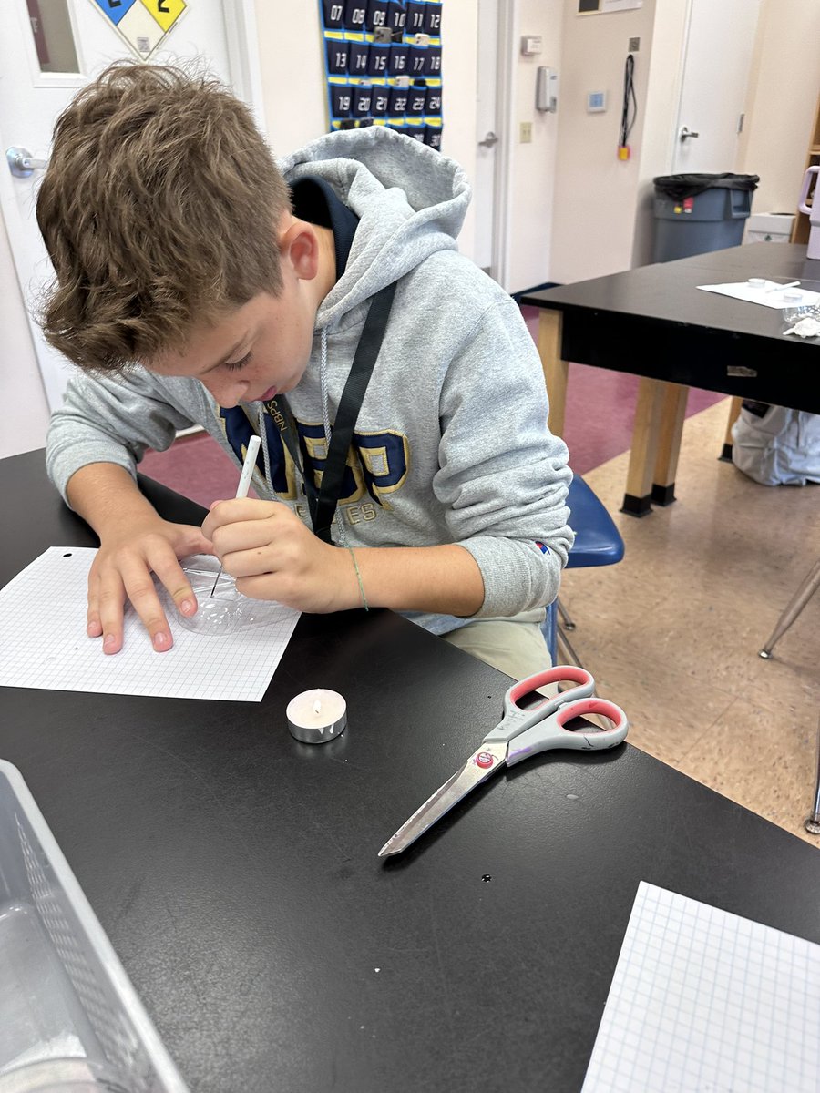 Alisha Hogg 🐬 tweet media