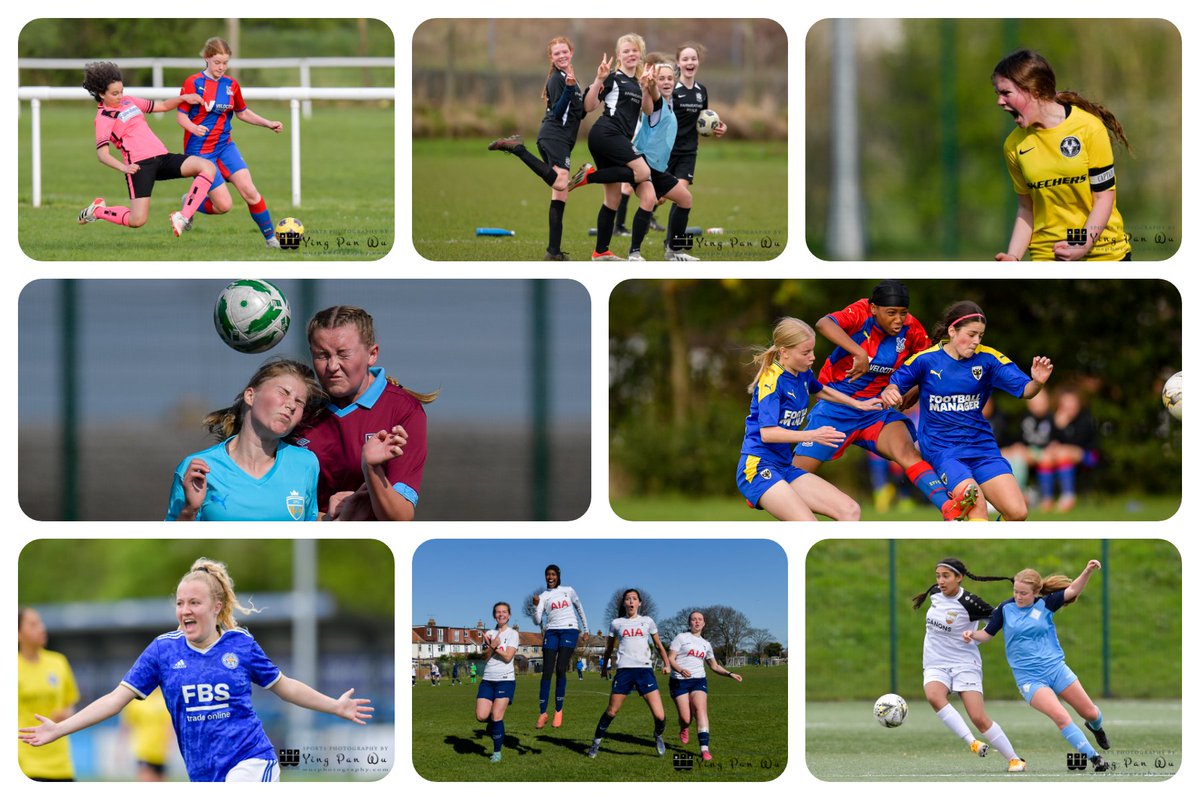 Wu's Photography tweet media