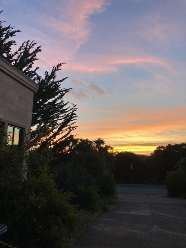 Good morning☀️ MPC. The Library📚 is open today 8AM-2PM and Saturday, 10AM-2PM. Visit us online at mpc.edu/library for more resources. (831) 646-4095 Email us: library@mpc.edu at "quick links" #mpc #mpclib #mpclibrary #fallsemester