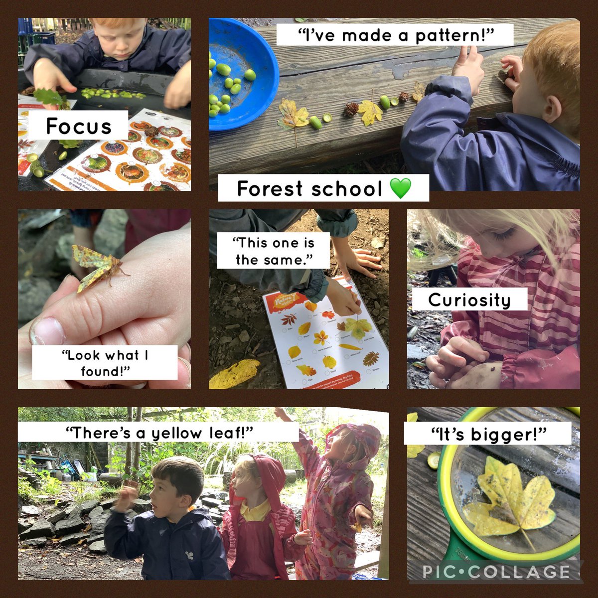 HendreInfants's tweet photo. Dosbarth🦊 had a lovely time at forest school💚 so many wonderful moments shared💚🌳 #OL #noticing #takingthetime https://t.co/dkyvuUbbbl