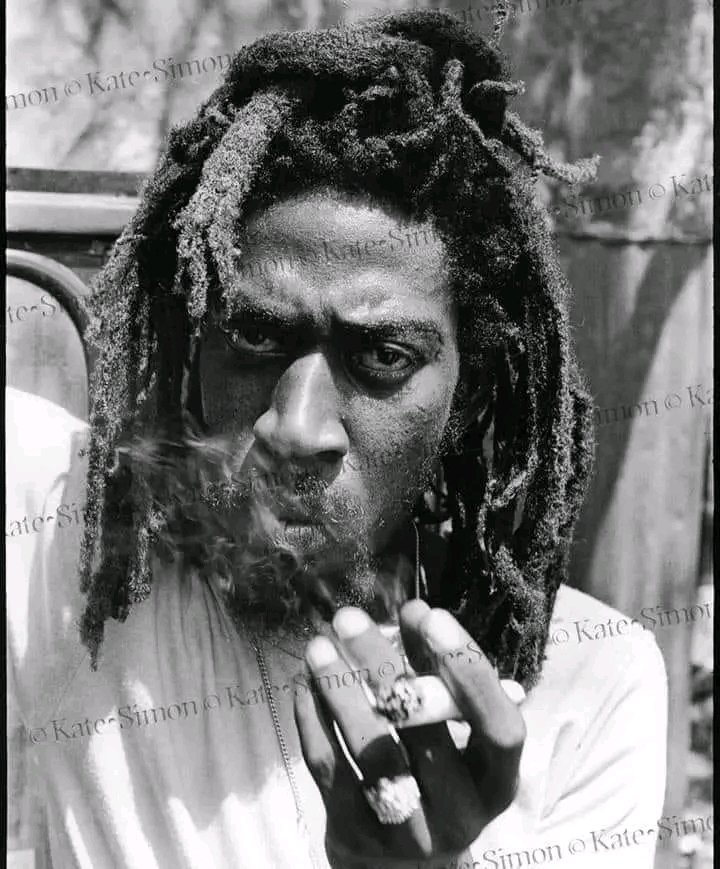 Bunny Wailer - Battering Down Sentence -1976

📽: youtube.com/watch?v=KTLPDh…