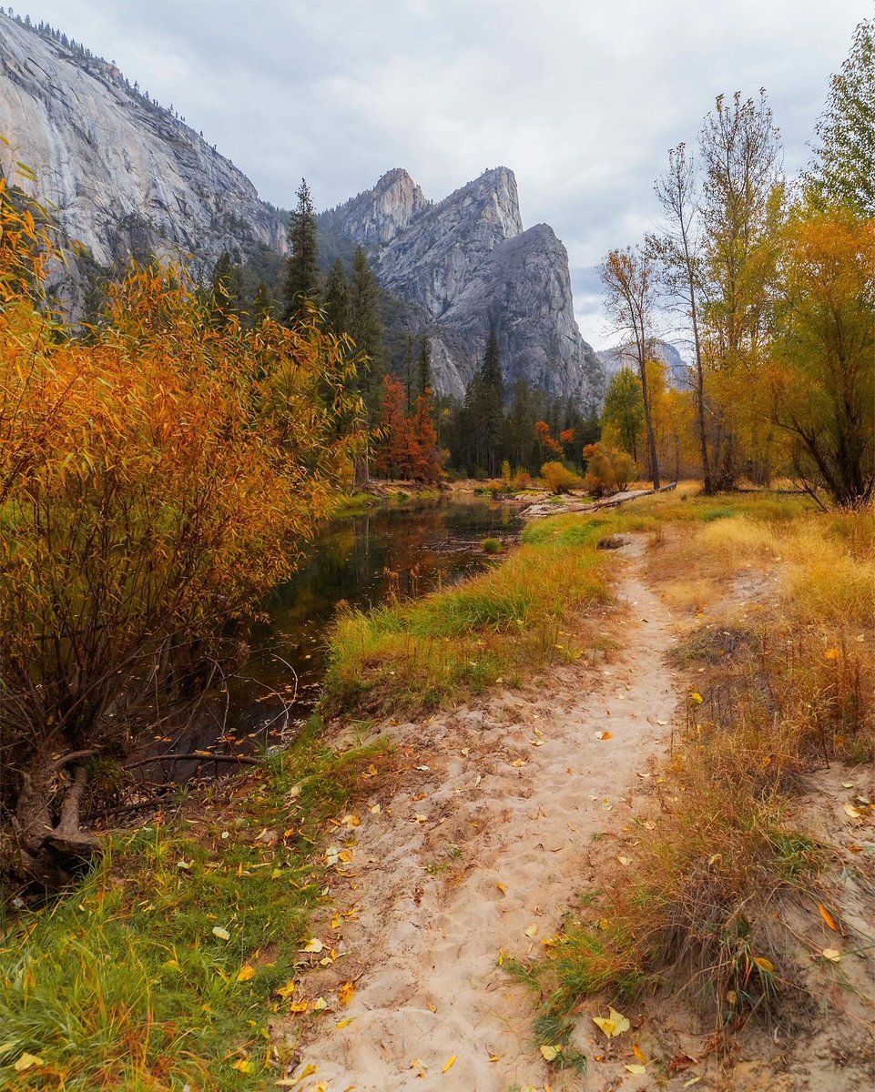 Fall in Yosemite 💛🌲⛰️