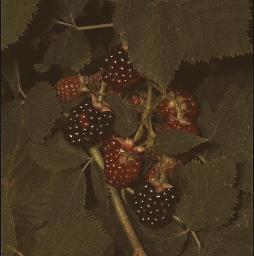 ⠀ 

⠀ ⠀ ⠀              wintersdawn.carrd.co ⠀             ⠀                                                 

⠀