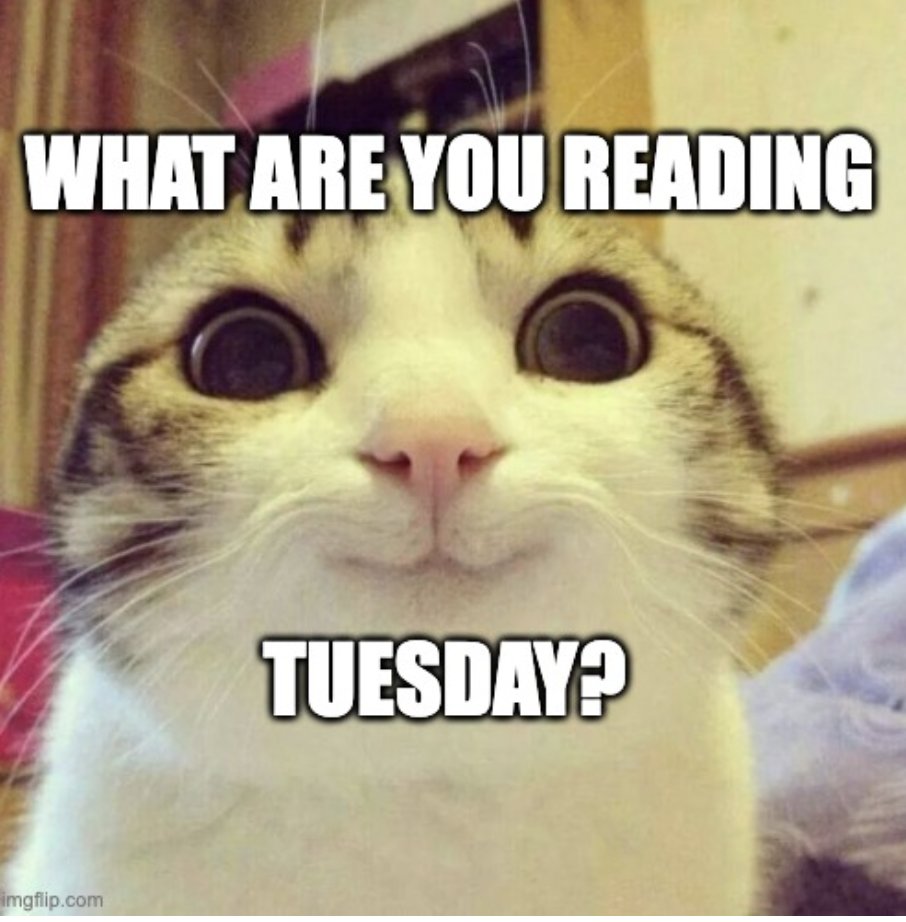 EWlibrary50's tweet photo. What are you reading Tuesdays are here. So what are you reading this week? #LifeintheW https://t.co/sX4nsFQI6q