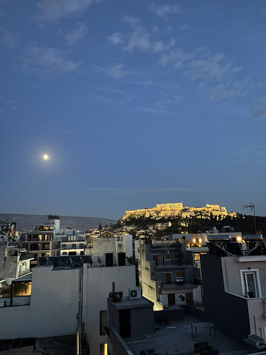 Laura Cogrossi tweet media