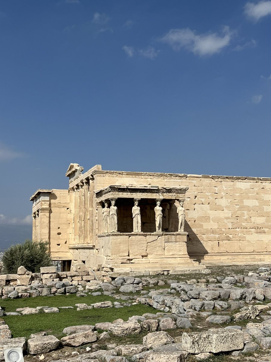 Laura Cogrossi tweet media