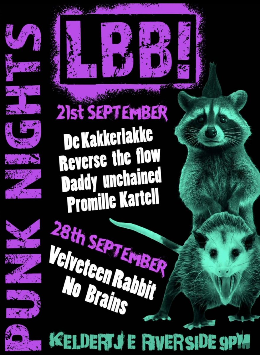 Maastricht we're coming for ya! Thursday 28 sept we team up with No Brains and make 't Keldertje sssshake⚡️ @landbouwbelang #Maastricht #punk #krakengaatdoor #velveteenrabbit #nobrains #Utreg