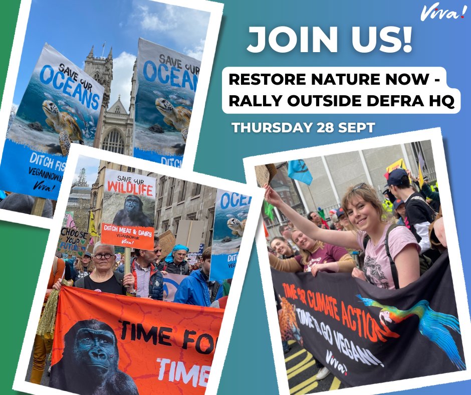 📣 We'll be at the Restore Nature Now rally outside DEFRA offices in London and Bristol on Thursday 28 Sept (this week)! 🌱🌍 We'll have plenty of placards to share! <a href="/ChrisGPackham/">Chris Packham</a> #RestoreNatureNow 

Addresses:
London: Seacole Building, SW1P 4DF
Bristol: Horizon House, BS1 5TLN