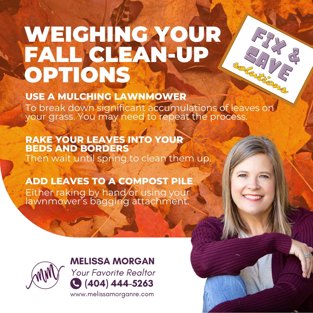 Leaf clean-up doesn’t have to be an all-or-nothing proposition. 

#melissamorgan #yourfavoriterealtor #marketmaven #fixandsavesolutions #LeafCleanup #GreenLiving #EcoFriendlyTips #FallCleanup #SpringCleanup #GreenGardening