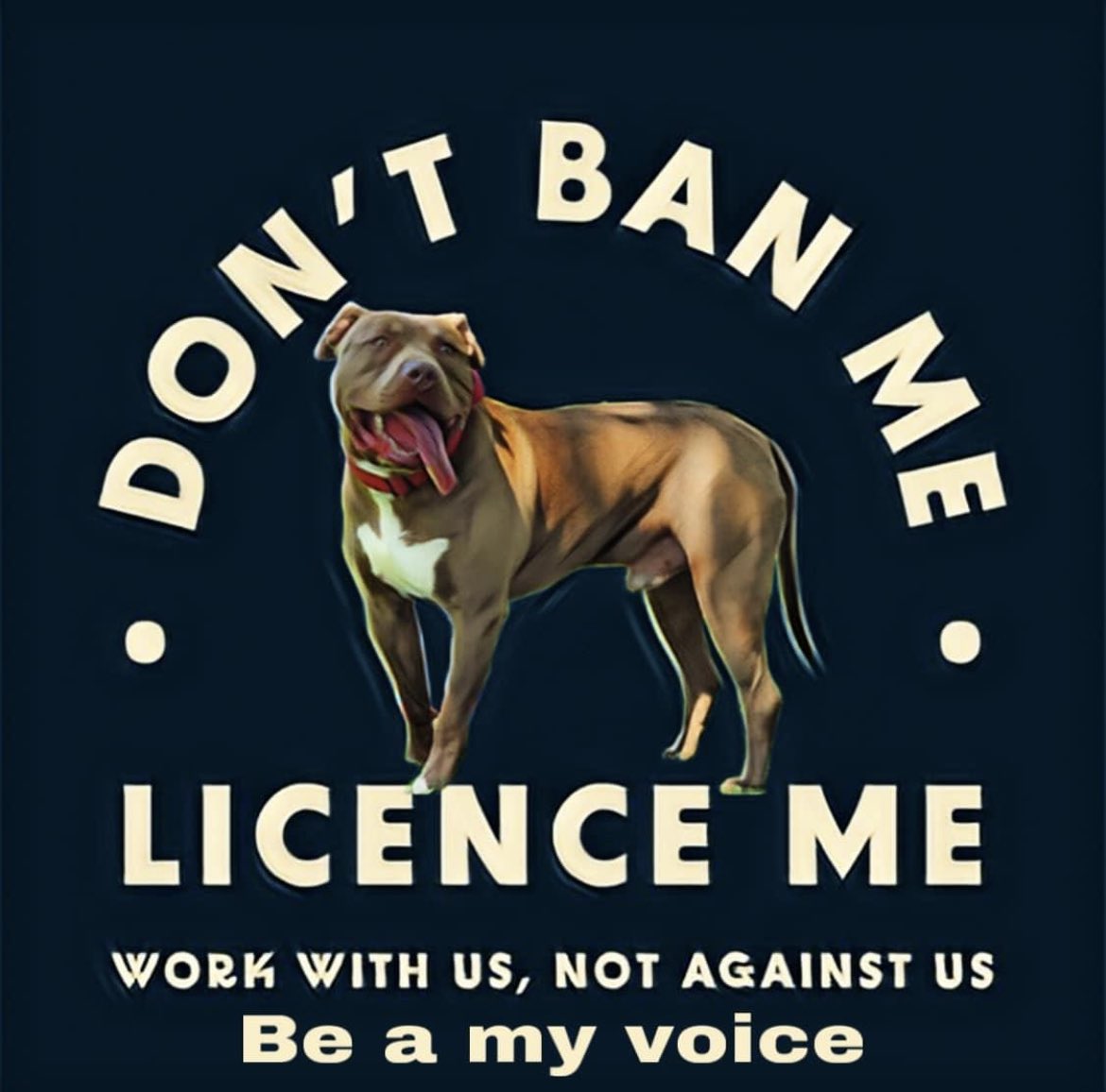 rissalipstick's tweet photo. PLEASE PLEASE fight against the ban if we the people allow a pathetic little man dictate then what breed will be next? #Sunak is not a Animal lover he’s lots of other things but a Animal lover isn’t one of those things. #SaveTheXl #EndBreedDiscrimination #SunakOut #Dictator https://t.co/as0jztZ5zi