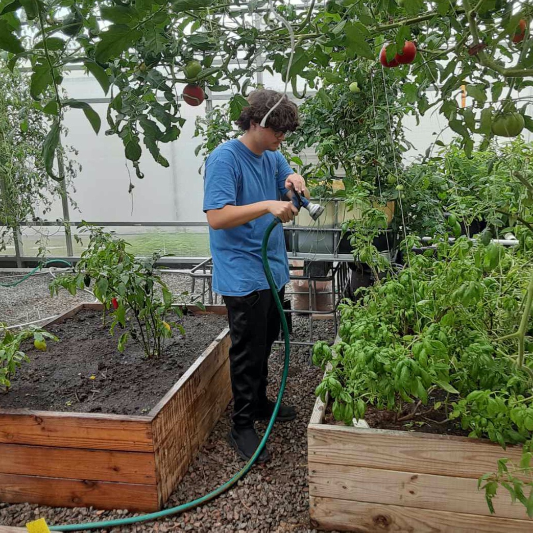 CIVChef's tweet image. #IntheCommunity: Did you know that #CIV is one of the most longstanding work-study locations for Roadstead Montessori High School in Norfolk? Students learn how to maintain soil-based, #hydroponic, and #aquaponic plants at our on-campus #greenhouse! 🌱