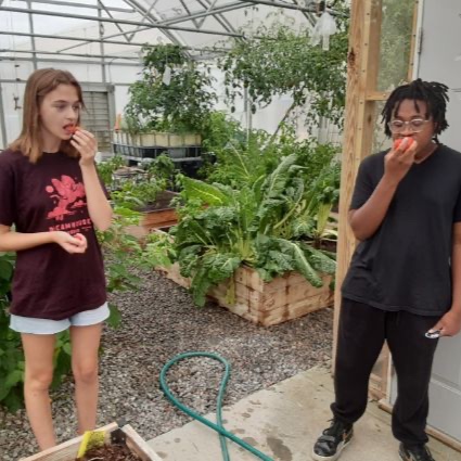 #IntheCommunity: Did you know that #CIV is one of the most longstanding work-study locations for Roadstead Montessori High School in Norfolk? Students learn how to maintain soil-based, #hydroponic, and #aquaponic plants at our on-campus #greenhouse! 🌱