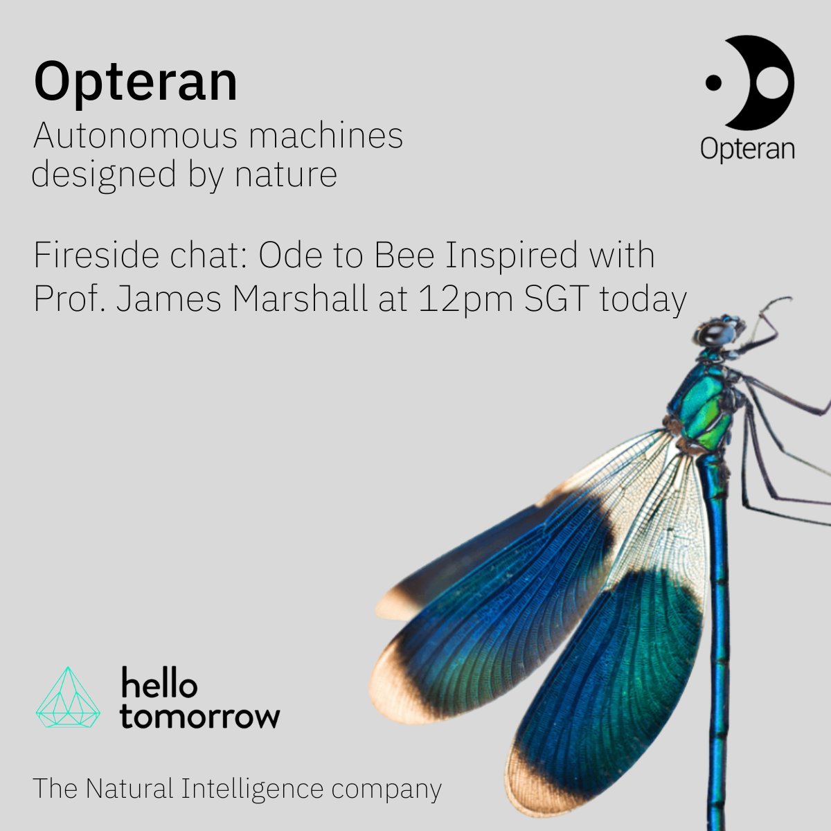 Join Veronica Harwood-Stevenson for a @HelloTomorrow fireside chat with Prof. James Marshall on their mutual love of bees and his inspiration for @Opteran! #DeepTechPioneers #HTGlobalChallenge #HTAPACChallenge #HTAPACSummit #DeepTech #HelloTomorrow