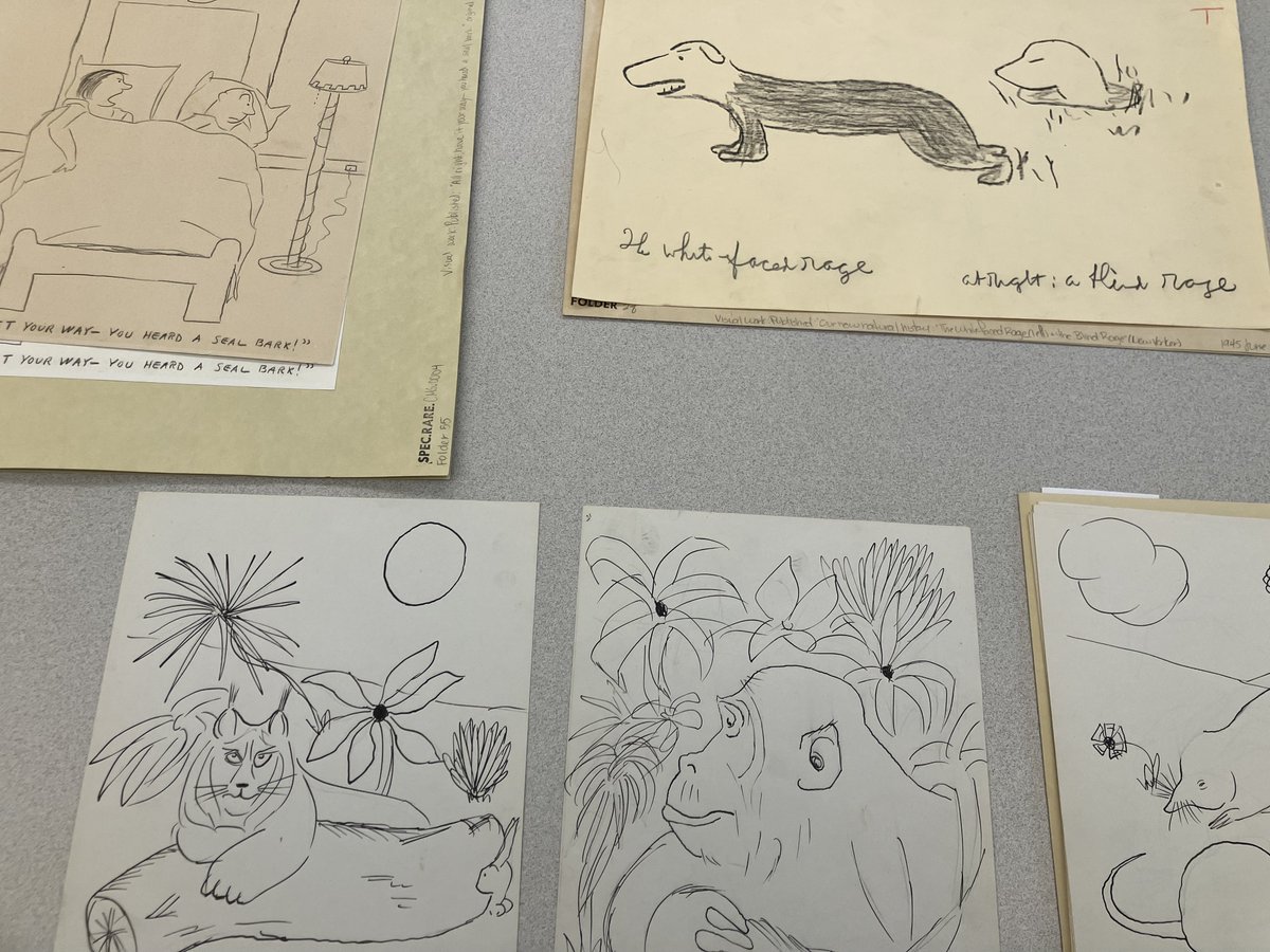 Rare Books & Manuscripts Library at Ohio State tweet media