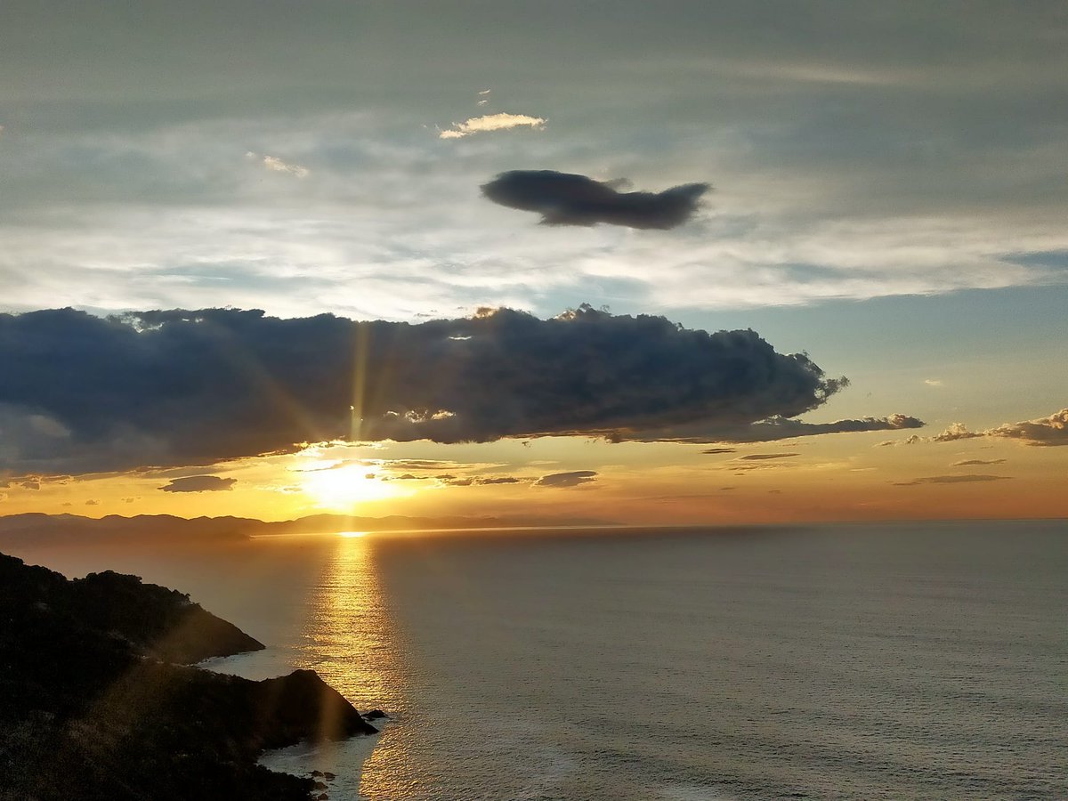jmanatol's tweet image. Mi hermana @lauranatol me envía esta foto con un @Airbus #A319 de quizás @Iberia @vueling o @volotea virando hacia #LEMD #MAD tras ver a su izquierda la costa, #LaConcha y #Donostia tras despegar desde @DonostiAir #LESO

¿Pero es un #avion n o una #nube?

#pareidolia