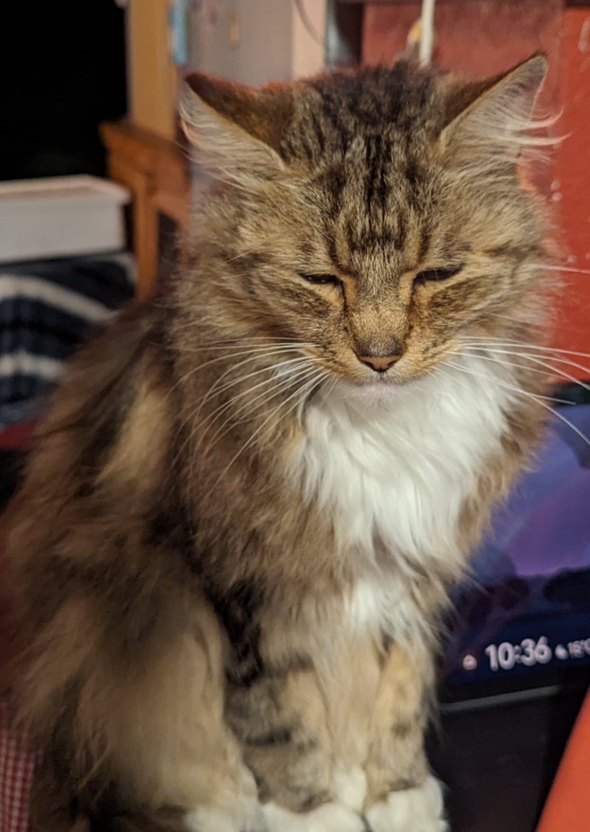 Charlotte Throssel (@charlottethross) on Twitter photo 