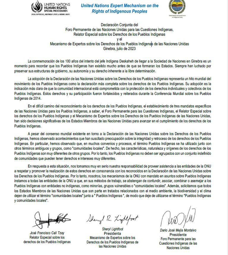 'Instamos a todas entidades de la ONU a que, en sus métodos de trabajo, se abstengan de confundir, asociar, combinar o asemejar a los #PueblosIndígenas con entidades no indígenas' Lea la Decl Conjunta De @DMejia20 @RelatorDd @sheryllightfoot tinyurl.com/2p86fuv4