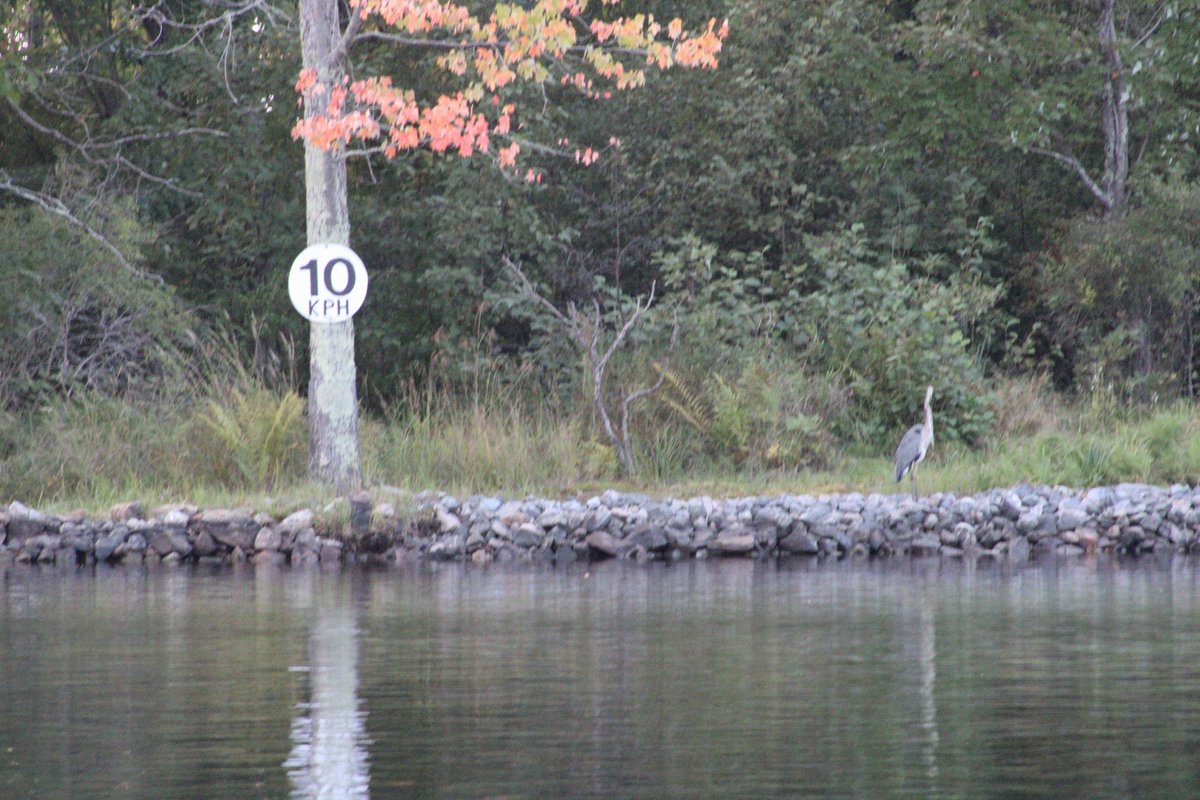 1409Photography's tweet photo. A little further north for the week. Going have a lot of fun with these views.
#Muskokaphoto #vacayfun #alwaysbringacamera #bracebridge https://t.co/zOGP1SkKpE