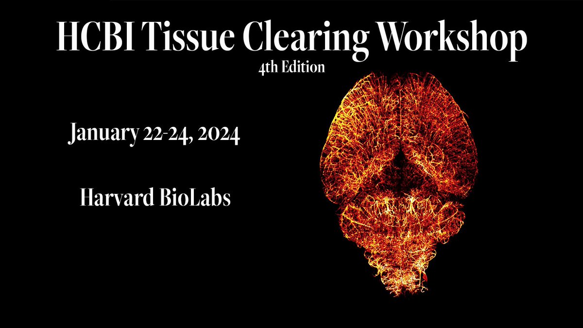 Come join us for the 2024 Tissue Clearing Workshop! hcbi.fas.harvard.edu/tcw2024