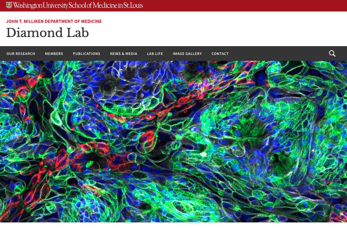 We are the staff, students, postdocs, fellows, investigators and faculty of the Diamond lab @WashUID @wusm_pathology <a href="/WUSTLmed/">Test Account</a> in St. Louis. Our website is now LIVE! Check us out!!! diamondlab.wustl.edu