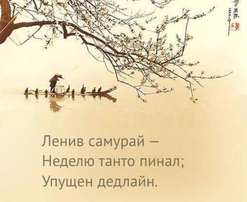 Вечерний хокку))