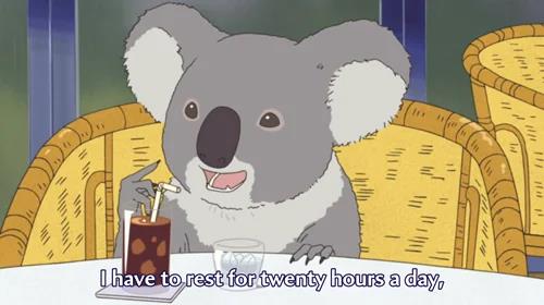 SPC Card tweet media