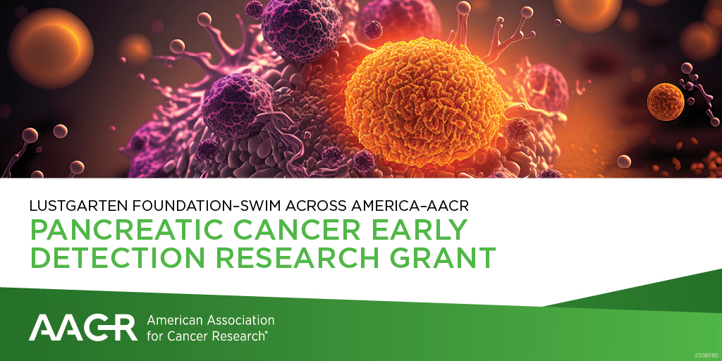 The 2024 <a href="/lustgartenfdn/">Lustgarten Foundation</a>-Swim Across America-AACR Pancreatic Cancer Early Detection Research Grant is a three-year, $300,000 grant supporting innovative research on the early detection and interception of pancreatic cancer. Apply by October 16:
bit.ly/3t6IJN0
@SAAswim