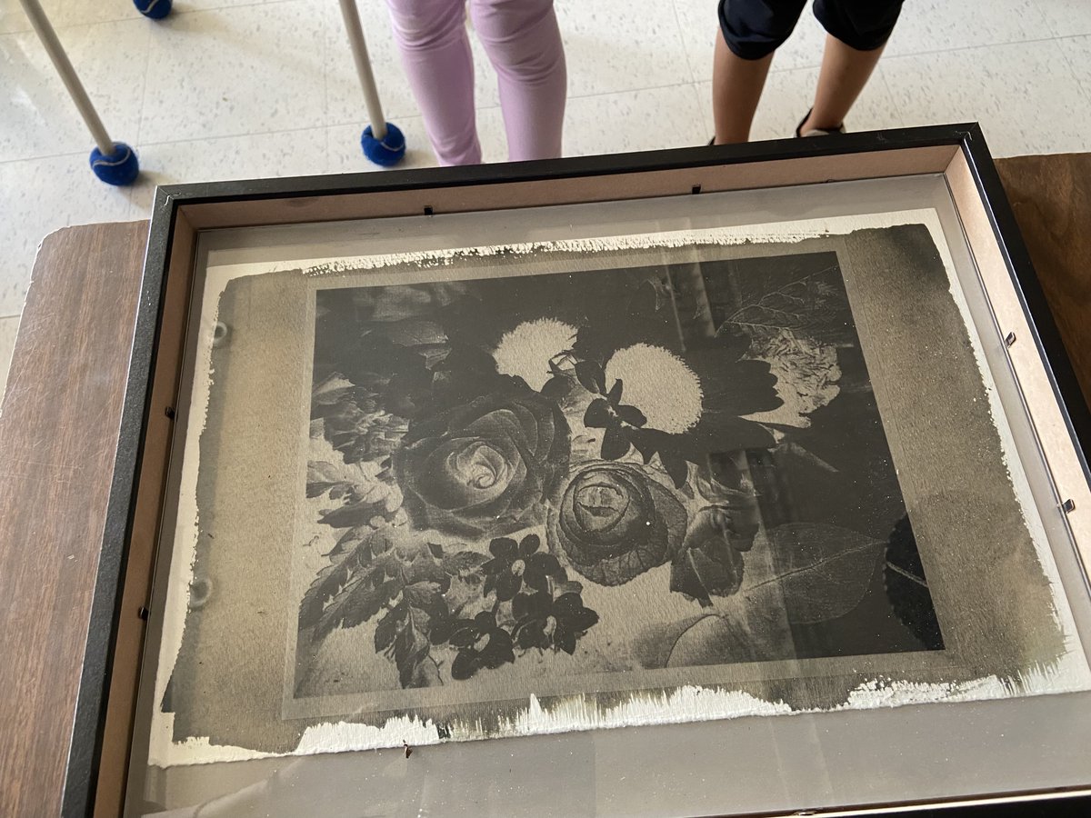 MsTavares (@mcm_mst) on Twitter photo Introduction to Cyanotype / Cyano Prints (photography)
Reviewing the Basics of Photography📸<a href="/LearnMrLawrence/">Ian Lawrence</a> This project will be explored over the next month as each student explores their own images / layout, lighting, generating negatives for the cyano print.
1/2 Introduction to Cyanotype / Cyano Prints (photography)
Reviewing the Basics of Photography📸<a href="/LearnMrLawrence/">Ian Lawrence</a> This project will be explored over the next month as each student explores their own images / layout, lighting, generating negatives for the cyano print.
1/2