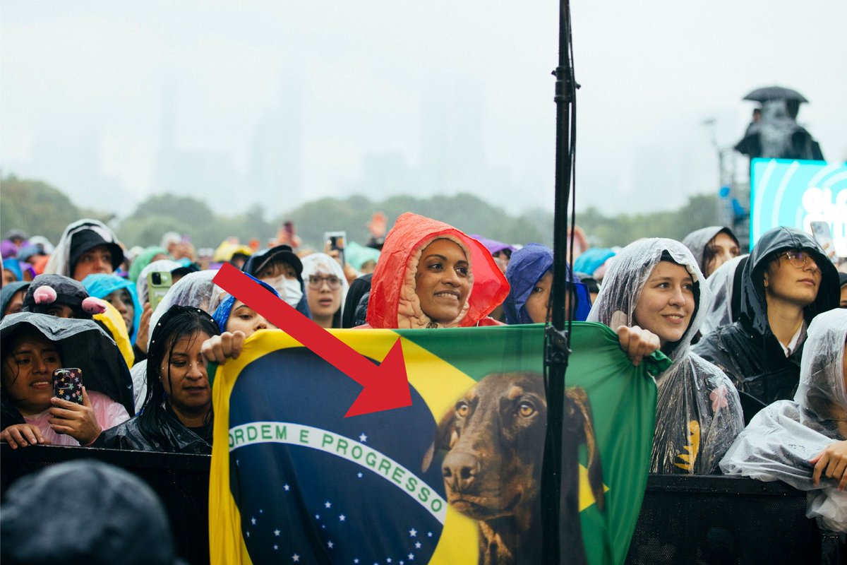 GlblCtzn's tweet photo. Global Citizens, please put your sleuthing caps on and help us identify this doggo https://t.co/5KlTwjJowX