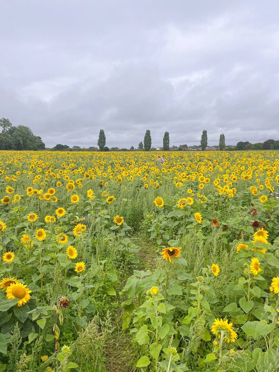 Doing things you haven't done before is called growth  doing things you don't want to do is called change  and doing things you don't dare to do is called breakthroughs