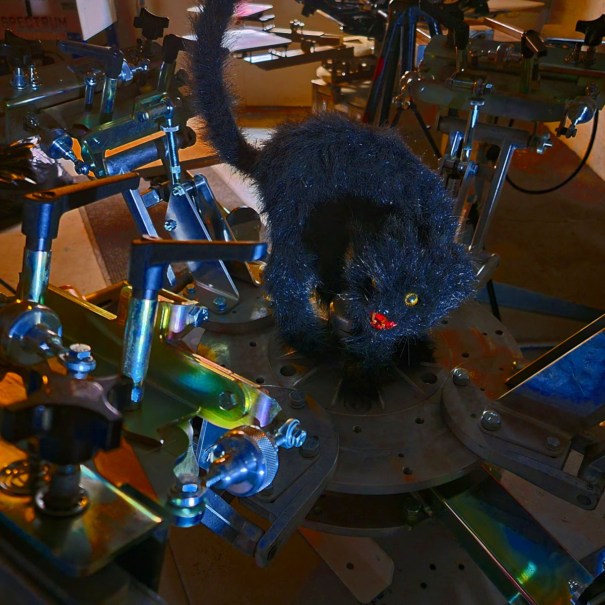 Catspit Productions tweet media