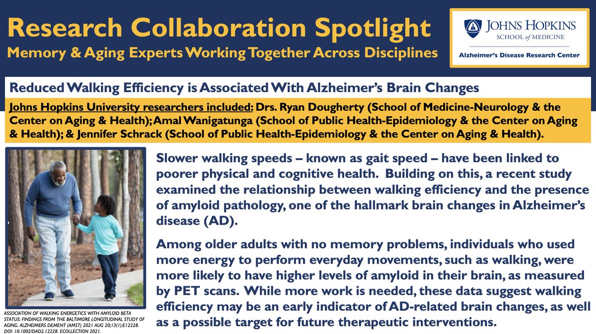 🧠🚶‍♀️Reduced #Walking Efficiency is Associated With #Alzheimers #Brain Changes. Findings suggest walking efficiency may be an early indicator of #AD-related #brain #changes as well as a possible target for future therapeutic #interventions. #JHMemoryResearch #BrainHealth #Dementia