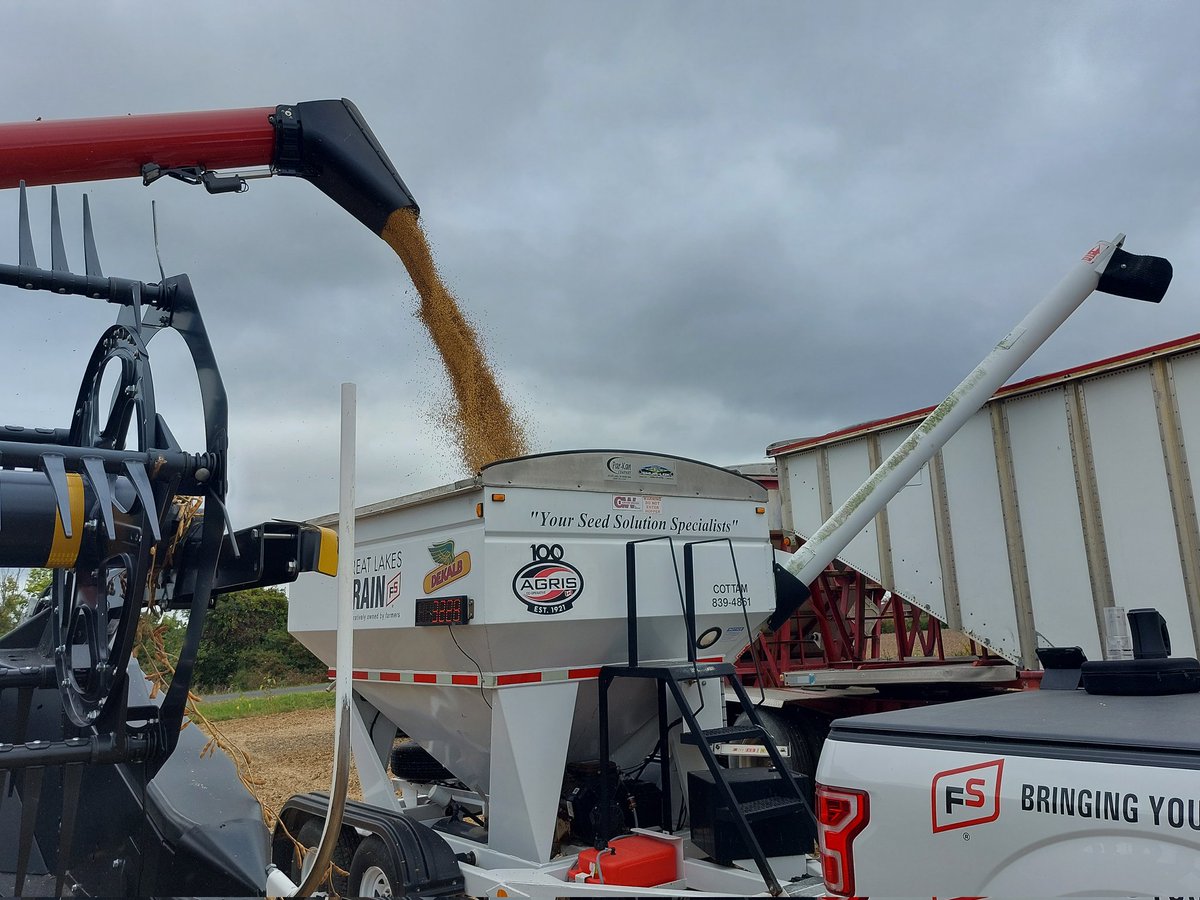 Tyler Sabelli tweet media