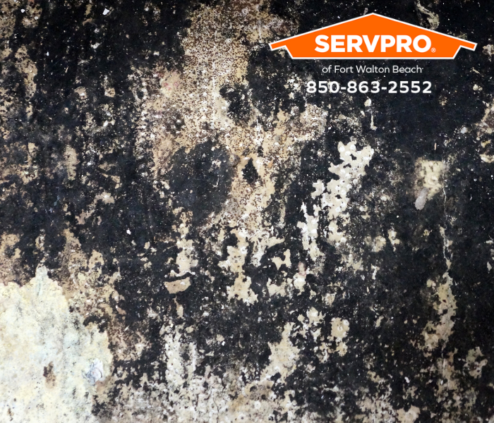 Lake Lorraine Home Rebuilt After Extensive Mold Damage is Discovered? We are leaders in mold removal services in Okaloosa County. #SERVPRO #SERVPROofFortWaltonBeach #FWB #HeretoHelp #LikeItNeverEvenHappened #waterdamage #firedamage #propertydamage