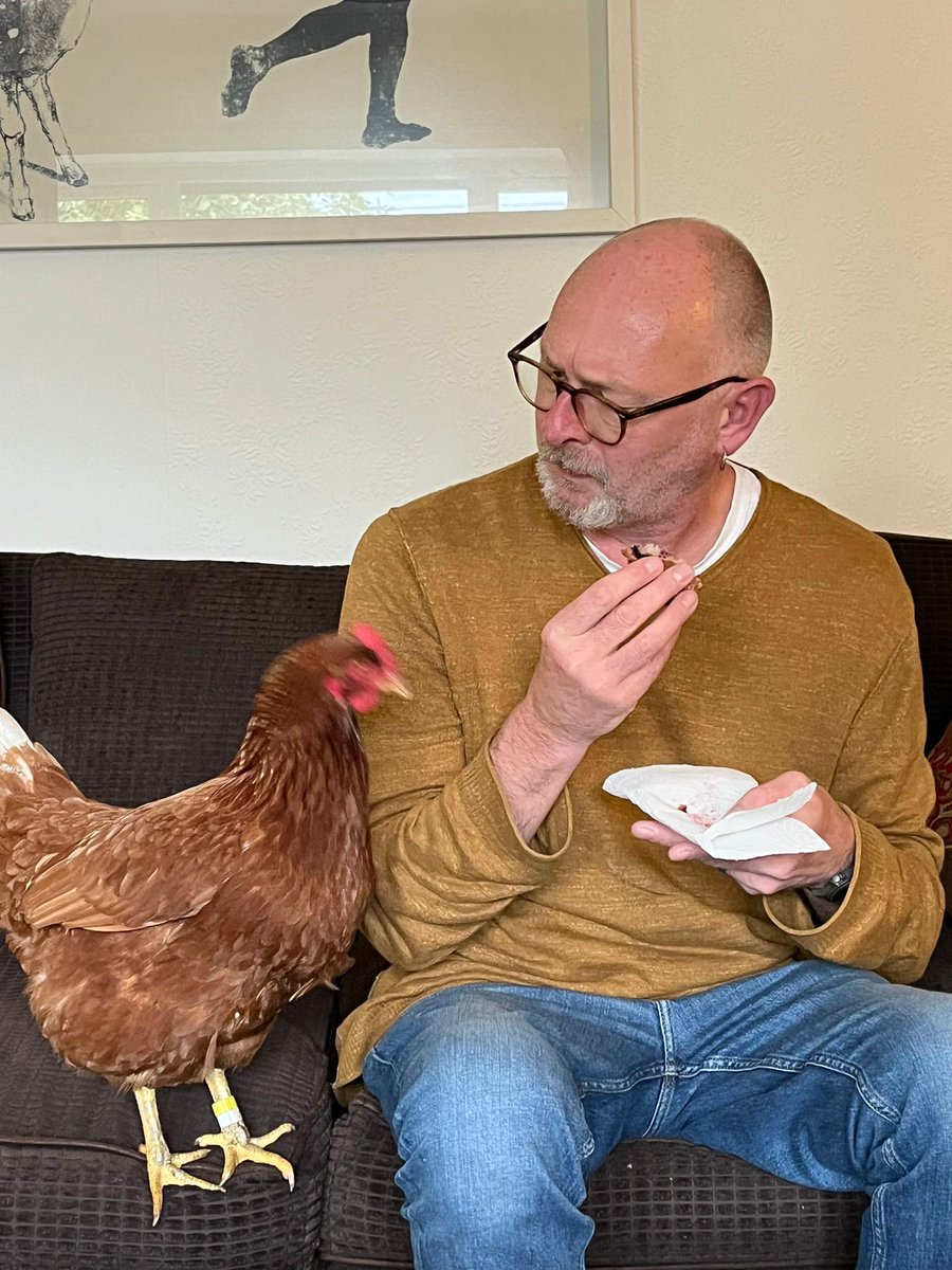 chikkinsisters tweet media