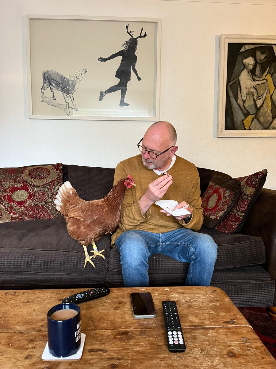 chikkinsisters tweet media