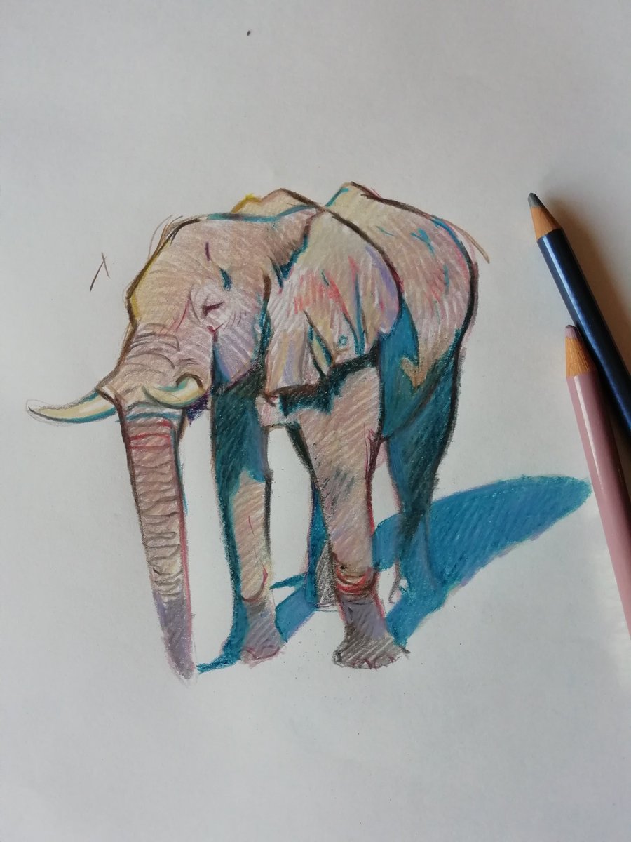 Elephant #pasteldrawing #wildlifeart #elefante #Pencildrawing